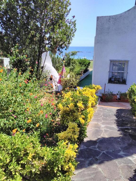 Villa Adelina サッロク エクステリア 写真